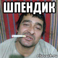 шпендик 