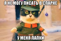 я не могу писать в спарке у меня лапки
