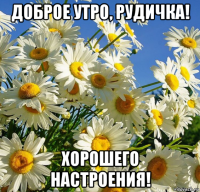 доброе утро, рудичка! хорошего настроения!