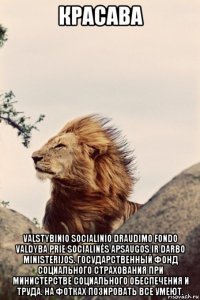 красава valstybinio socialinio draudimo fondo valdyba prie socialinės apsaugos ir darbo ministerijos. государственный фонд социального страхования при министерстве социального обеспечения и труда. на фотках позировать все умеют.