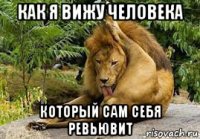 как я вижу человека который сам себя ревьювит