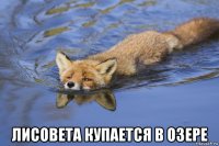  лисовета купается в озере