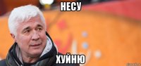 несу хуйню