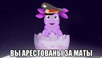  вы арестованы за маты