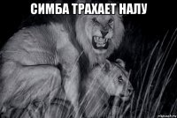 симба трахает налу 