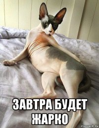  завтра будет жарко