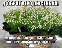 доброе утро люсенька! за ночь набрал для тебя любимой корзину ландышей,дарю тебе от души!