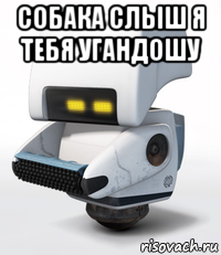 собака слыш я тебя угандошу 