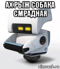 ах рыж собака смрадная 