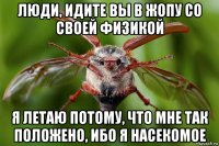 люди, идите вы в жопу со своей физикой я летаю потому, что мне так положено, ибо я насекомое