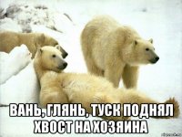  вань, глянь, туск поднял хвост на хозяина