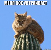 меня все устраивает 