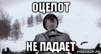 оцелот не падает