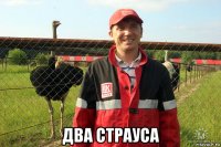  два страуса