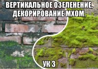 вертикальное озеленение, декорирование мхом. ук 3