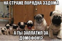 на страже порядка 33дома а ты заплатил за домофон!?