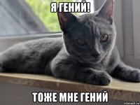 я гений! тоже мне гений