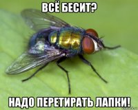 всё бесит? надо перетирать лапки!