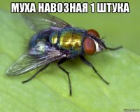 муха навозная 1 штука 