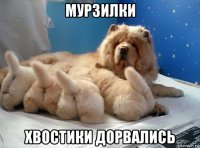 мурзилки хвостики дорвались