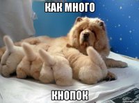 как много кнопок