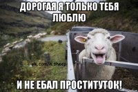 дорогая я только тебя люблю и не ебал проституток!