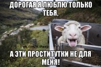 дорогая я люблю только тебя, а эти проститутки не для меня!