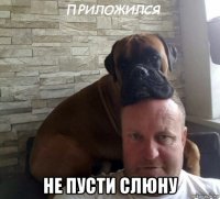  не пусти слюну