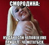 смородина: ну дак если человек уже пришёл - чё метаться.