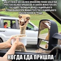 valstybinio socialinio draudimo fondo valdyba prie socialinės apsaugos ir darbo ministerijos. государственный фонд социального страхования при министерстве социального обеспечения и труда. когда еда пришла