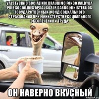 valstybinio socialinio draudimo fondo valdyba prie socialinės apsaugos ir darbo ministerijos. государственный фонд социального страхования при министерстве социального обеспечения и труда. он наверно вкусный
