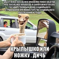 valstybinio socialinio draudimo fondo valdyba prie socialinės apsaugos ir darbo ministerijos. государственный фонд социального страхования при министерстве социального обеспечения и труда. крылышко или ножку . дичь