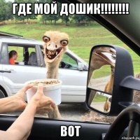 где мой дошик!!!!!!!! вот