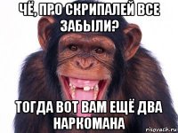 чё, про скрипалей все забыли? тогда вот вам ещё два наркомана