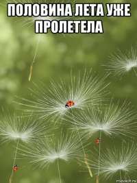 половина лета уже пролетела 