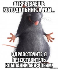 открываешь холодильник, а там... здравствуйте, я представитель компании арифлейм!