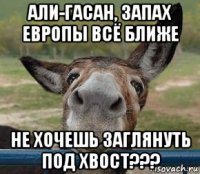 али-гасан, запах европы всё ближе не хочешь заглянуть под хвост???