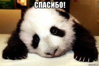 спасибо! 