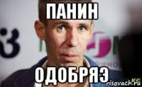 панин одобряэ