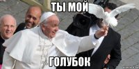 ты мой голубок