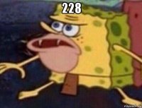 228 