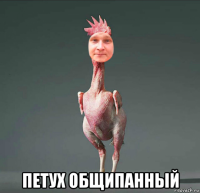  петух общипанный