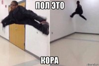 пол это кора