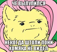 чё вылупился некогда штоли пони хомяка не видел