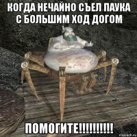 когда нечайно съел паука с большим ход догом помогите!!!!!!!!!!