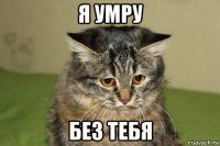 я умру без тебя