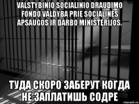 valstybinio socialinio draudimo fondo valdyba prie socialinės apsaugos ir darbo ministerijos. туда скоро заберут когда не заплатишь содре