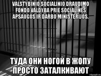valstybinio socialinio draudimo fondo valdyba prie socialinės apsaugos ir darbo ministerijos. туда они ногой в жопу просто заталкивают