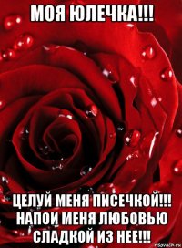 моя юлечка!!! целуй меня писечкой!!! напои меня любовью сладкой из нее!!!