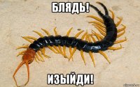 блядь! изыйди!